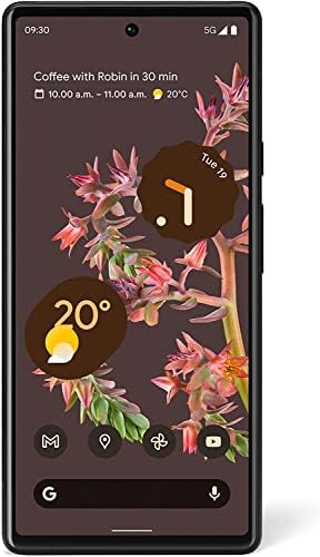 Google Pixel 6 5G (Stormy Black, Dual-Sim, 128GB Rom + 8GB Google Pixel 6 5G (Stormy Black, Dual-Sim, 128GB Rom + 8GB