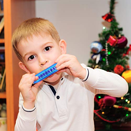 AMOR PRESENT Kids Harmonica, 2 PCS Translucent Harmonica with Case 10 Holes Diatonic Bules Children Harmonica