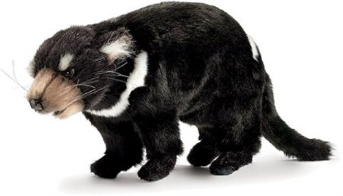 Tasmanian Devil Gifts and Collectibles - Kritters in the Mailbox