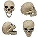 ALLADINBOX Halloween Creepy Graveyard Décor Groundbreaker Realistic Skeleton Bones and Skull(Include Skull, Hands, Legs, arms and feet with Lawn Stakes) for Outdoor Party, Life Size