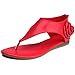 Z-joyee Women Sandals Fashion Flower Flat Thong Sandals Back Zipper Gladiator Shoes