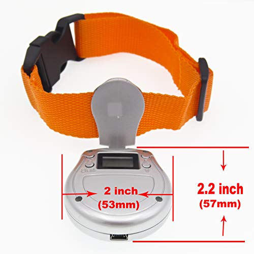 4 Digital+Collar+Recorder+Monitor+Silver+32GB
