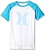 Hurley Boys' Icon Short Sleeve Raglan