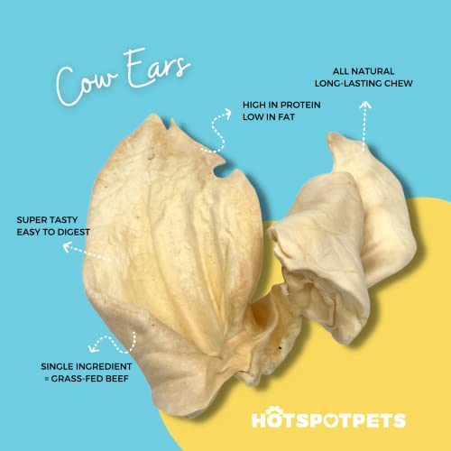 hotspot pets Cow Ears for Dogs (10 Pack) Large Premium Beef Cow Ears