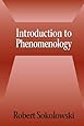 Introduction to Phenomenology