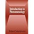 Introduction to Phenomenology