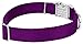 Country Brook Petz – Premium Nylon Dog Collar with Metal Buckle – Vibrant 22 Color Selection (Large, 1 Inch Wide)thumb 4