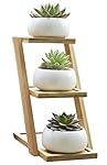 Jusalpha White Ceramic Modern Decorative Small White Round Ceramic Succulent Plant Pot w/ 3 Tier Bamboo Stand (Planter 01-3 pots )