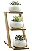 Jusalpha Ceramic Round Succulent Plant Pot, Flower Pots with Drainage Hole for Succulent Plants, Cactus and Herbs Pot with Bamboo Tray for Room Decor