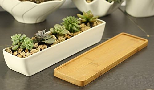 SPARIK ENJOY Set of 1 Modern 11.1 inch long rectangle White Ceramic Succulent Planter Pots / Mini Flower Plant Containers with Bamboo Saucers. Product size:11.1x2.36x1.77inch. (long rectangle)