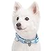 Blueberry Pet Soft & Safe 3M Reflective Neoprene Padded Adjustable Dog Collar - Baby Blue Pastel Color, Small, Neck 12