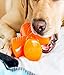 Stuffer Durable Dog Chew Toy, Tough Dog Toy by Bionic, Orange