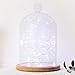 ANJAYLIA LED Fairy String Lights, 16.5Ft/5M 50leds Bright Light Party Home Festival Decorations Battery Operated Lights(White)
