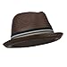 Men's Paper Woven Straw Fedora - Brown