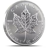 2013 1 Oz Canadian Silver Maple Coin