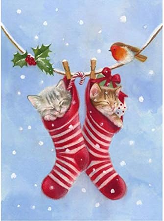 Diamant Peinture Kits Diy Broderie Diamant Chaussette De Noel Chat Et Oiseau Peinture Plein Carre Resine Mosaique Point De Croix De Noel Cadeau Decoration 45x60cm Amazon Fr Cuisine Maison