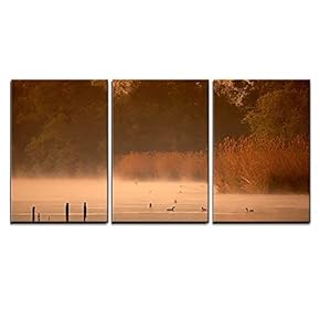 3 Piece Canvas Wall Art - Misty Morning on The Pond with The Birds - Modern Home Art Stretched and Framed Ready to Hang - 16"x24"x3 Panels