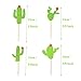 Simla Decor Cactus Party Decorations Set - Cactus Foil Balloons Baby Shower Cactus Felt Bunting Banners Garland Succulent Cactus Cupcake Toppers