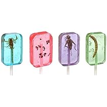 Amazon.com : Insect Sucker Lollipop Bundle - Pack of 4 - Scorpion ...