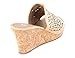 ONE Women Open Toes Platform Wedge Slip-On Summer Sandals
