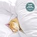 Queen Comforter, Down Duvet Alternative Insert Set with Corner Tabs, All Season Quilted White Hypoallergenic & Reversible, Box Stitched Goose Down Alternative Fill, Brushed Microfiber