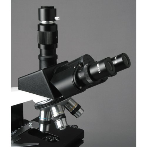 AmScope T490B Compound Trinocular Microscope, 40X2000X Magnification