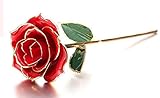 TIANXIN Gilded Rose Flowers Let Love Never Fade Best Gift Suitable for Valentine's Day, Mother's Day, couple gifts, love gifts, wedding gifts, birthday greetings, home decorations, (red)