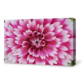 for Living Room Bedroom Home Artwork Paintings Close...