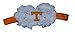 NCAA Tennessee Volunteers Girls Unfraygettable Flower Baby Headband, One Size, Orange/White