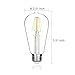FluxSmart 8W Dimmable Edison Style Vintage LED Filament Light Bulb, 2700K Warm White, 800 Lumen, E26 Base ST21/ST64 Lamp, 60W Incandescent Bulb Equivalent (8 Watts)