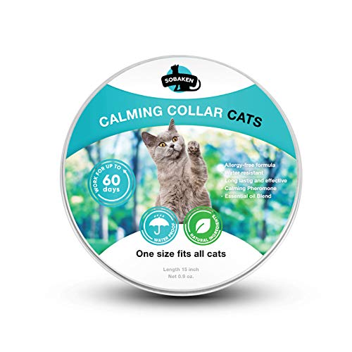 pet corrector for biting