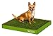 DoggieLawn Real Grass Puppy Pee Pads- 24 x 20 Inches - Perfect Indoor Litter Box for Dogs - No Mess, Easy-to-Use - Potty Training for Pets - Eco-Friendly Disposable Bathroom with Real Living Grass