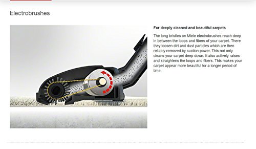 Miele SEB 228 Electro Plus Full-Size Electrobrush