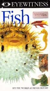 Eyewitness Fish Dvd With Worksheet School Curriculum Sets Amazon Com Industrial Scientific