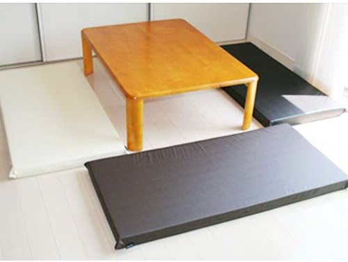 病気の 北方 読み書きのできない 皮 座布団 Unifood Inc Jp