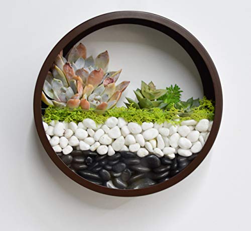 Round Hanging Wall Vase Planter for Succulents or Herbs – Beautiful Wall Decor for Air Plants, Faux Plants, Indoor Decorative Contemporary Morden Circle Iron Vase Cacti and More, Gift Box 8″H Brown