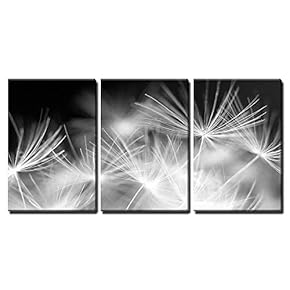 3 Piece Canvas Wall Art - Macro Beauty Dandelion, Details - Modern Home Art Stretched and Framed Ready to Hang - 16"x24"x3 Panels