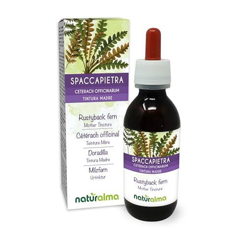 Rustyback Fern (Ceterach officinarum or Asplenium Ceterach) Leaves Alcohol-Free Mother Tincture Naturalma - Liquid Extract Drops 100 ml - Food Supplement - Vegan