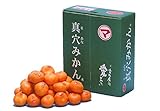真穴みかん（まあなみかん） レギュラー Sサイズ 5kg 【11月末発送予定】