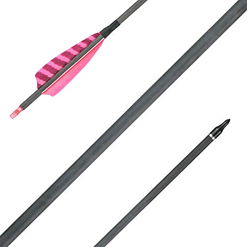 image for Huntingdoor 32-Inch Carbon Arrows with 4-Inch Feather Fletching Replac