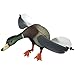 Edge Innovative Hunting Air Lucky Hunting Decoy