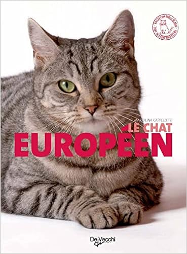 Chat Europeen French Edition Cappelletti Amazon Com Books