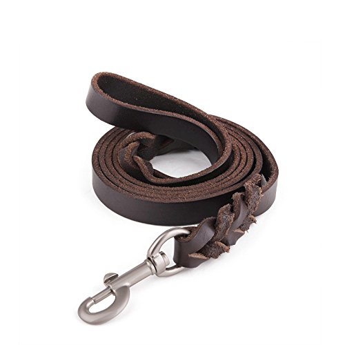 Best Big Dog Leash for Labradors and Large Breed Dogs [2018 ]