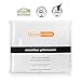 Heidelpeggy Pillowcases, Pillow Covers, Antibacterial, Anti-Microbial and Hypoallergenic Dust Mite White Pillow Protectors, Queen Size (20