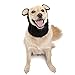 Zoo Snoods Black Bear Costume - Warm Knit Dog Snood Wrap for Pets, Neck Ear Cover Protection, Halloween Winter (Medium)