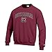 South Carolina Gamecocks Crewneck Sweatshirt Garnet