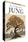 Livro As Origens de Jung : A trajetória do homem por trás das ideias: Livro 1 Coleção Jung para Iniciantes