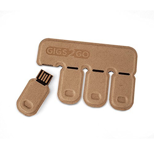 Gigs 2 Go Flash Drive Pack 16 GB x 4 (64GB)