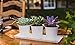 H Potter Indoor Herb Succulent Planter Flower Plant Pots Container Outdoor Garden Window Box