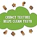 Purina Friskies Made in USA Facilities Cat Treats, Party Mix Treasure Crunch - 20 oz. Canister